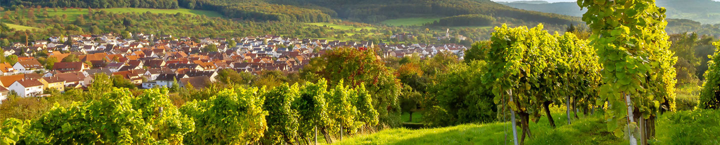 Baden-Württemberg Woche