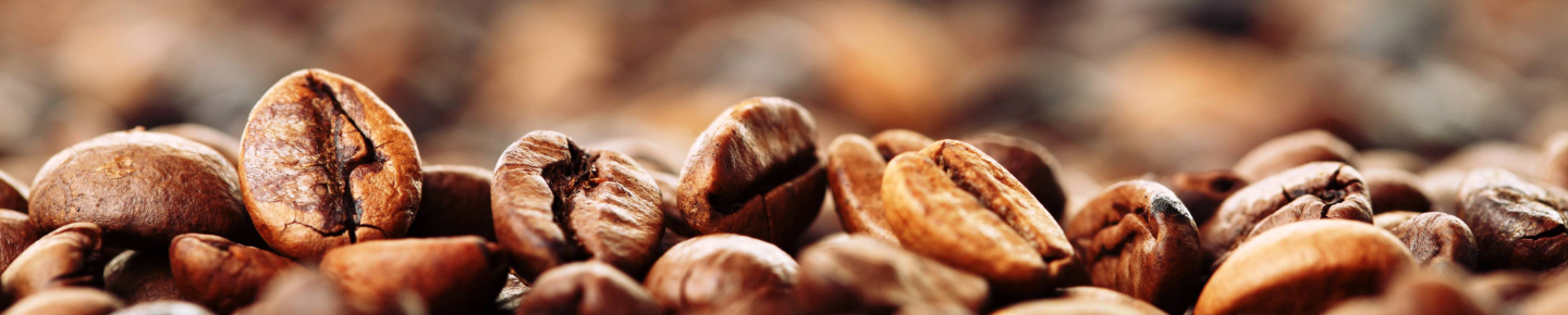 Exklusiv: CoffeeB