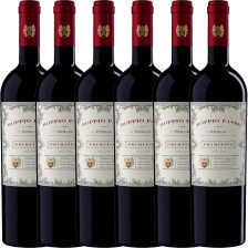 Doppio Passo Primitivo Puglia IGT 6x0,75l KARTON 